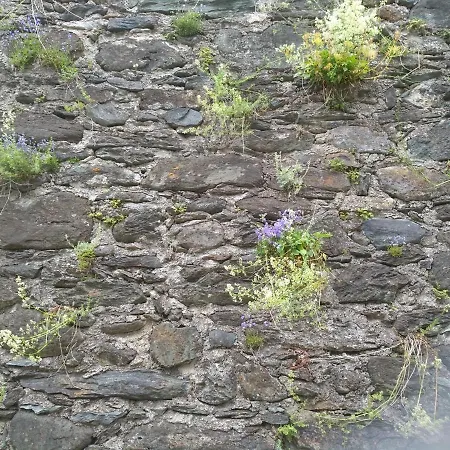 Sandra Obkircher Sankt Veit in Defereggen