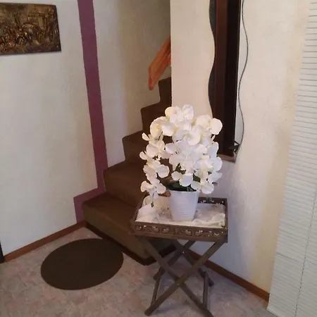 Sandra Obkircher Daire *