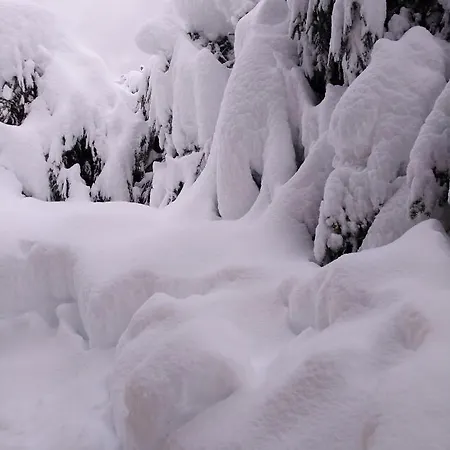 Διαμέρισμα Sandra Obkircher