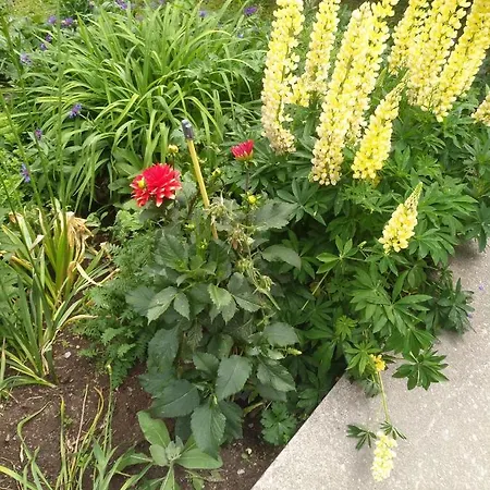 Sandra Obkircher Διαμέρισμα