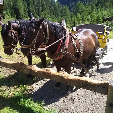 Sandra Obkircher Διαμέρισμα Sankt Veit in Defereggen
