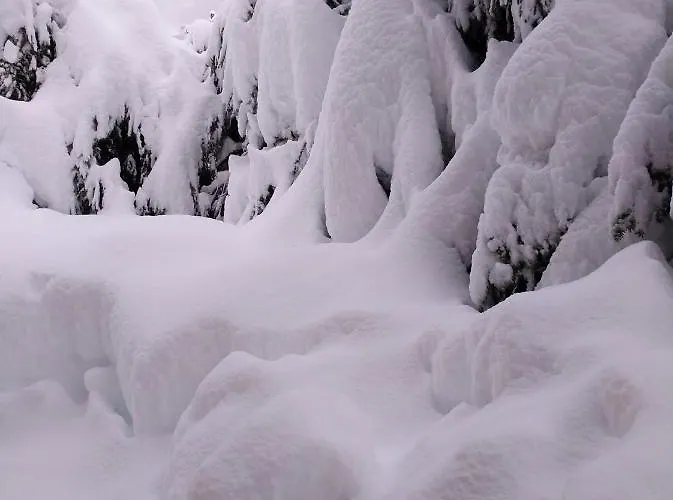 Apartament Sandra Obkircher