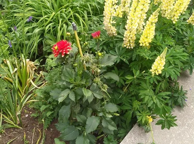 Sandra Obkircher Apartament