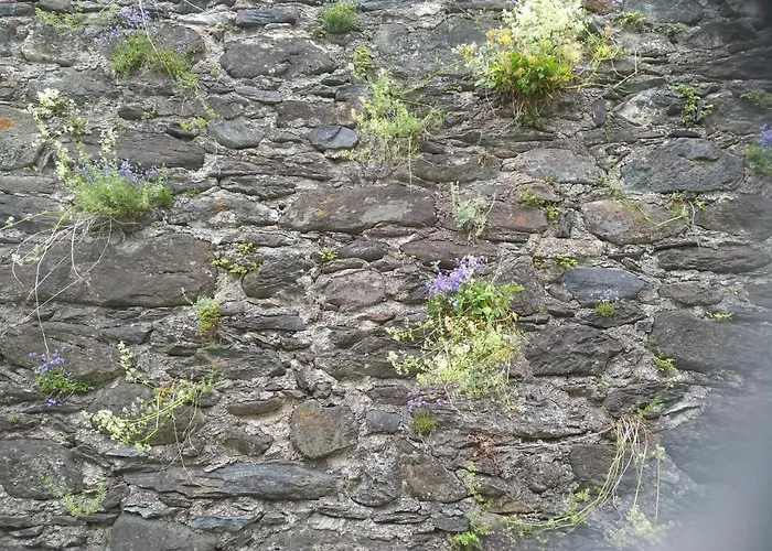 Sandra Obkircher Sankt Veit in Defereggen
