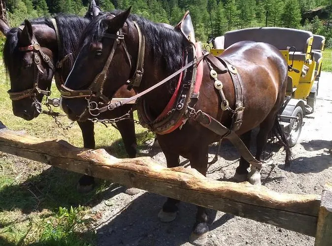 Sandra Obkircher Apartament Sankt Veit in Defereggen