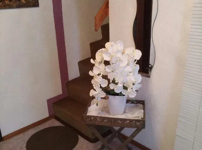 Sandra Obkircher Apartament *